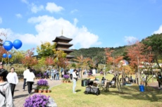 김천김밥축제, 경북 최우수축제에 이어, 문화체육관광부 ‘로컬100’ 선정, 국내여행, 여행정보