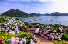 고흥군 쑥섬, 문체부 로컬100 선정, 국내여행, 여행정보