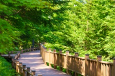 보성군 제암산자연휴양림·치유센터, 사계절 체험형 치유 관광지로 주목, 국내여행, 여행정보