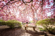 전남도, 3월부터 ‘남도한바퀴’ 봄 여행코스 출시, 국내여행, 여행정보