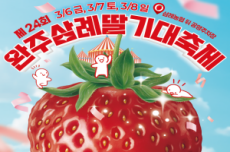 딸기 디저트 총집합… 완주삼례딸기대축제 개막, 국내여행, 여행정보