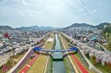 정읍시, 4월 3일~5일 벚꽃축제 개막…다채로운 공연·먹거리 풍성, 국내여행, 여행정보