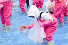 영덕군, 대게 맛과 즐거움, 영덕대게축제 26일 개막, 국내여행, 여행정보