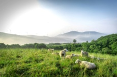 강원도, 명실상부한 웰니스관광 성지로 ‘우뚝’, 국내여행, 여행정보