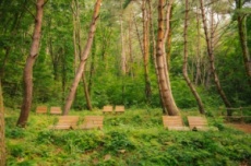 합천 오도산 치유의 숲, ‘2026 우수웰니스 관광지’재지정, 국내여행, 여행정보