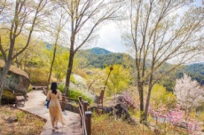 구례수목원, “2026년 꼭 가봐야 할 수목원 10선” 선정, 국내여행, 여행정보