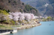 증평 좌구산휴양랜드, 봄 힐링 관광지로 각광, 국내여행, 여행정보