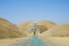 역사문화자원과 계절 풍경 어우러진 경주 산책길 추천 , 국내여행, 여행정보