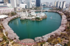 송파구, 9일간 펼쳐지는 벚꽃이야기 '호수벚꽃축제’ 개최, 국내여행, 여행정보