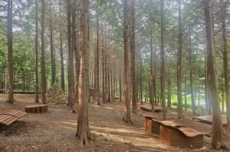 고흥군, ‘지붕 없는 미술관’ 고흥으로 떠나는 봄맞이 3색 트레킹, 국내여행, 여행정보