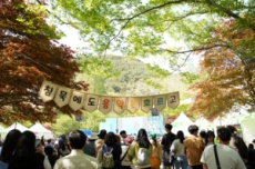 김제에 깃든 봄날의 즐거움, 4색 축제 여행 시작, 국내여행, 여행정보