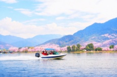 벚꽃 절정 남이섬, 봄 액티비티·수상 레저 시즌 개막, 국내여행, 여행정보