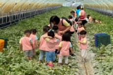 전남도, 4월 농촌체험휴양마을에 ‘광양 섬진강끝들마을’, 국내여행, 여행정보