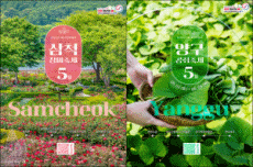 강원 5월 추천 여행지, 삼척 장미축제, 양구 곰취축제 선정 , 국내여행, 여행정보