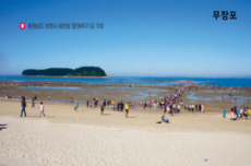 보령시, 해수욕과 산림욕을 함께...무창포해수욕장 개장, 국내여행, 여행정보