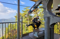 별빛과 청량함 가득... 영천으로 떠나는 특별한 여름휴가, 국내여행, 여행정보