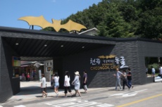 동해시, 폭염 속 시원한 피서... 천곡황금박쥐동굴 , 국내여행, 여행정보