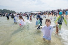 고성군, 오징어·가리비·피문어·조개까지... 축제 풍성, 국내여행, 여행정보