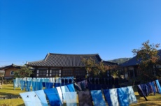 전남도, 8월 농촌체험휴양마을에 나주 명하쪽빛마을 선정, 국내여행, 여행정보