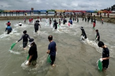 전남광주통합특별시 해수욕장, 체험·공연 즐길거리 풍성, 국내여행, 여행정보