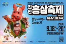체험·먹거리·웰니스·놀이까지... 진안홍삼축제 개막, 국내여행, 여행정보