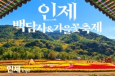 강원 이달의 추천 여행지... 철원 ‘고석정꽃밭’, 인제‘백담사&가을꽃축제’ 추천 , 국내여행, 여행정보