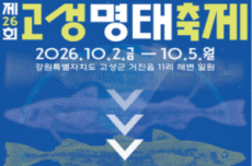 고성군, 명태를 새롭게 발견하는, 고성명태축제 개최, 국내여행, 여행정보