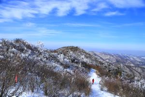 눈 덮인 산하, 홀로 걷고 싶은 그곳! 함백산 겨울 트레킹 ,부산광역시 해운대구