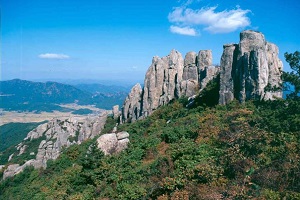 (비공개) 축복의 고장 장흥 - 할미꽃 군락지, 우드랜드, 천관산,국내여행,음식정보