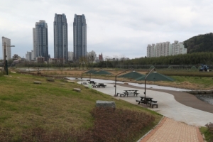 대밭과 물이 만나니 청청하더라, 태화강대공원,울산광역시 중구
