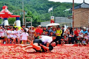 먹지마세요~ 축제에 양보하세요, 화천토마토축제,강원도 화천군