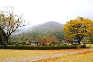 가을빛 짙은 바람과 구름이 함께 머물다간 명승, 운림산방,국내여행,음식정보