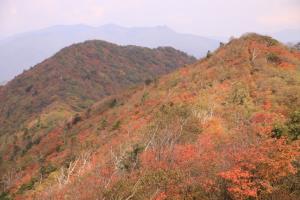 태백산맥의 중심, 볼거리 가득한 오대산 ,강원도 평창군