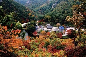 고승의 흔적이 핀 천년고찰, 오어사,경상북도 포항시