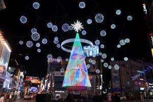 따뜻함과 빛이 어우러진 시간, 부산크리스마스트리문화축제,부산광역시 중구