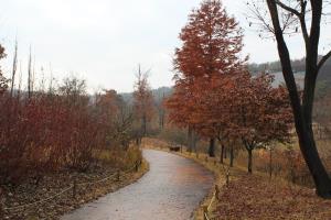 가을빛 가득! 만추의 여주 황학산수목원,경기도 여주시