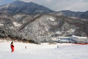 스키장의 기본을 갖춘 곳, 스타힐리조트,경기도 남양주시