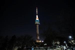 서울의 중심 ‘남산’에서 야경을 외치다,서울특별시 중구
