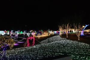 별빛, 겨울밤을 수놓다, 울산대공원 장미원 빛 축제 