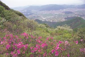 땅끝마을에 찾아오는 봄, 흑석산 철쭉