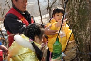 봄에 찾아오는 건강한 마실 거리, 양평단월고로쇠축제 