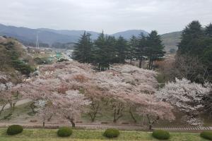 힐링이 필요할 때 떠나보세요! 법기수원지,경상남도 양산시