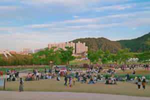 울산에 찾아온 봄, 태화강 봄꽃 대향연 