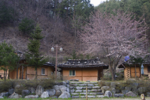 그 자체로 자연이 된 삶. 삼척 산간오지의 신리 너와마을