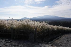 억새꽃 만발한 제주도 산굼부리의 가을 정취,제주특별자치도 제주시