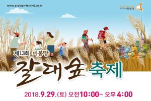 가을빛 보러 화성시 비봉습지 갈대숲으로 오세요! 제13회 비봉땅 갈대숲 축제