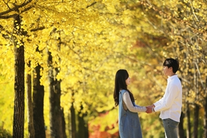 가을 단풍 절정…영주 부석사