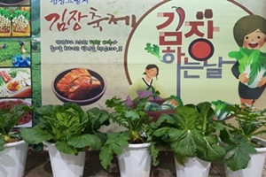 올해 김장은 ‘평창산 고랭지 배추’로 해결하세요   - 2018 평창 고랭지 김장축제 2일 개막