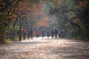 가을에 더욱 설레는 길, 남산둘레길 걷기 축제 개최