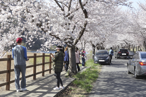 사계절 관광도시 보령, 올 한해도 풍성한 축제와 행사 가득!